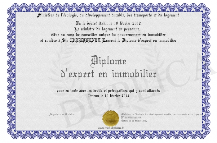 diplome universitaire immobilier